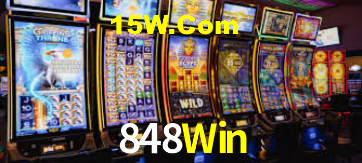Interface Premium 848Win